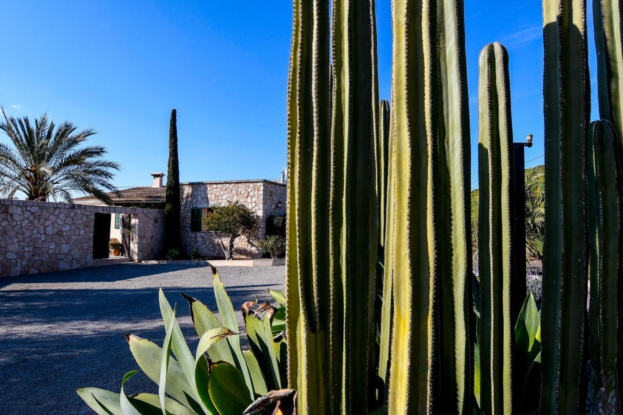 Moderne Finca Can Vicento - Heizung - Pizzaofen Porto Cristo Exterior photo